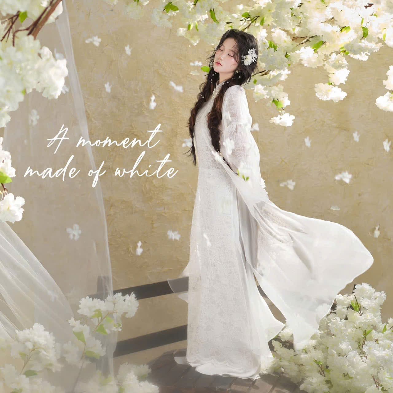 AODAI257 thumb 9