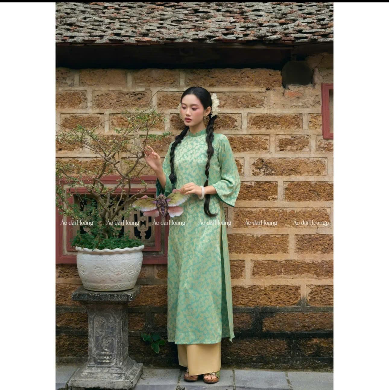 AODAI075 thumb 3