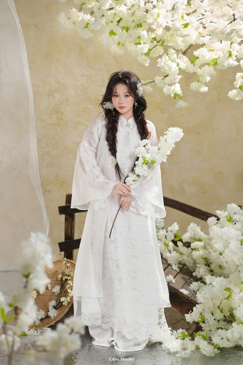 AODAI257 thumb 16