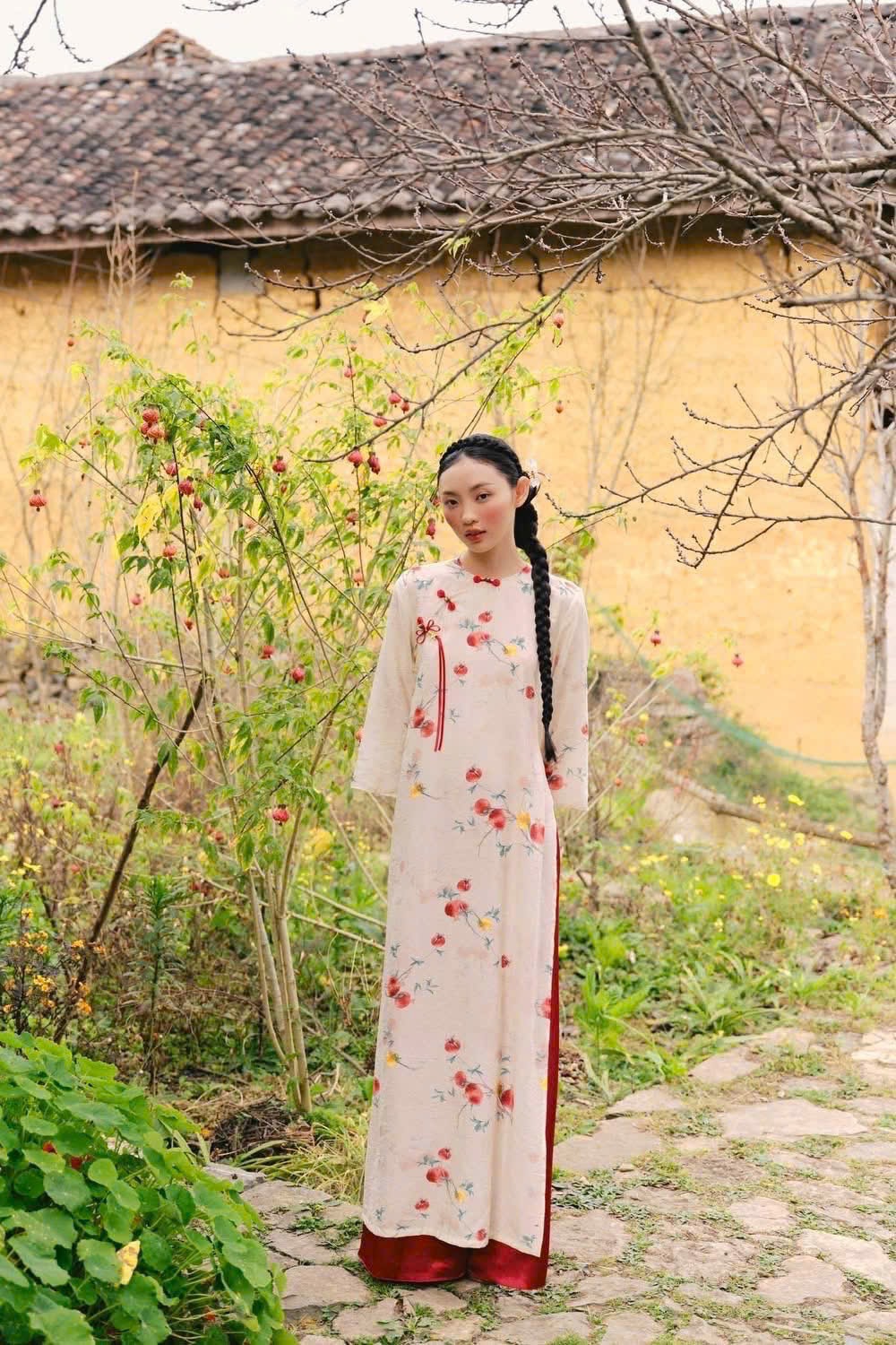AODAI234 - 1