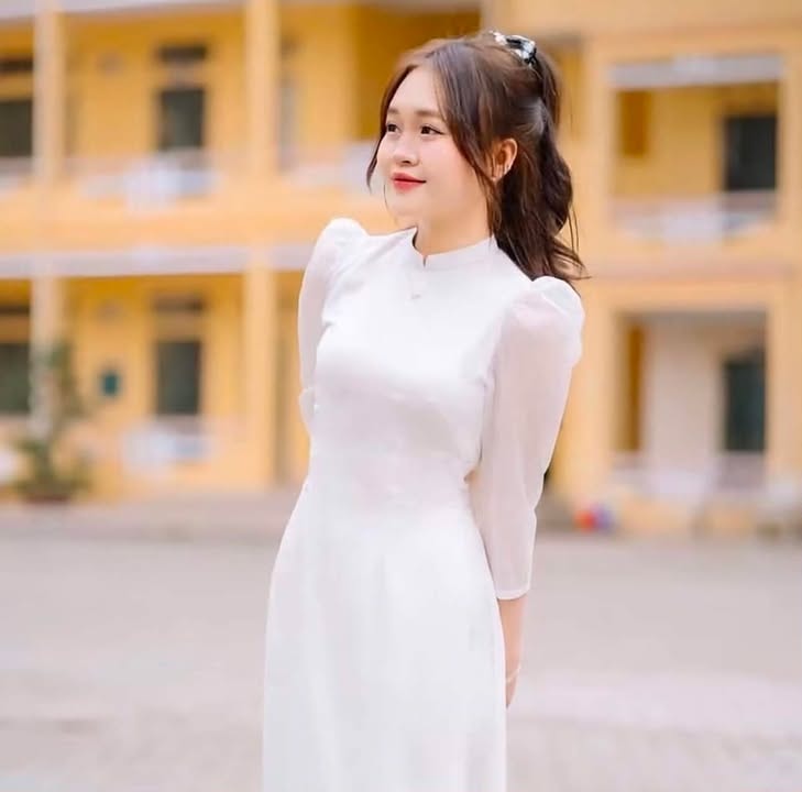 AODAI242 - 1